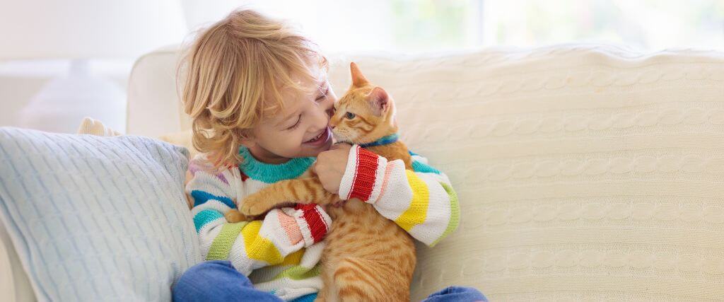 Young child holding a cat on the couch