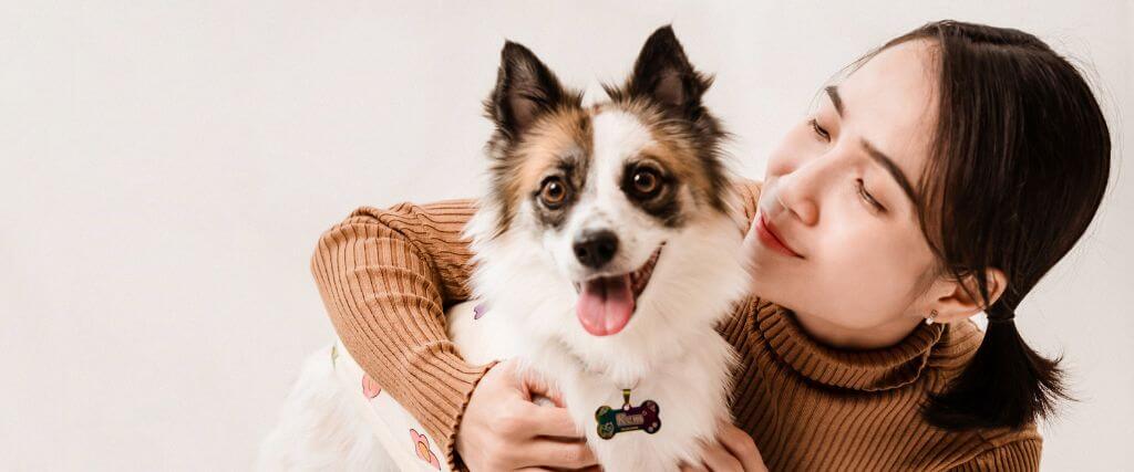 Dog in hyperbaric oxygen chamber for HBOT for dogs treatment
