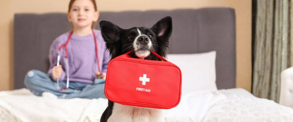 Dog holding pet first aid kit.