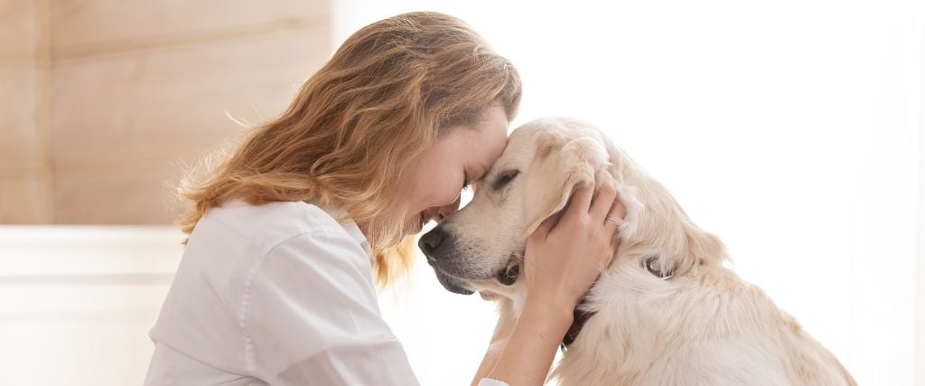 Tiny Chip, Big Protection: Why Microchipping Your Pet Matters
